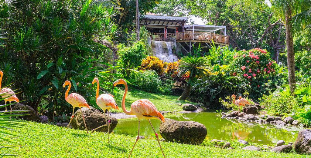 Residence Caraïbes Bonheur 4*