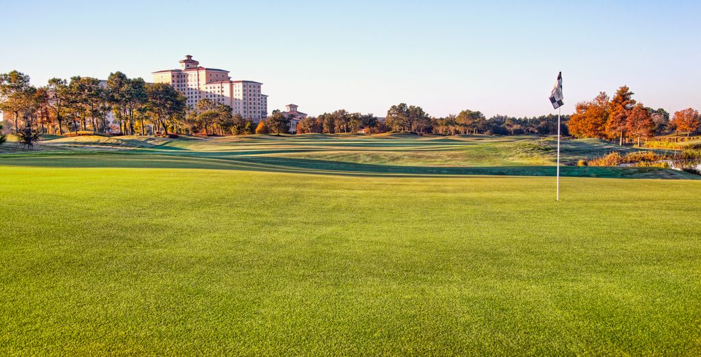 Rosen Shingle Creek 4*