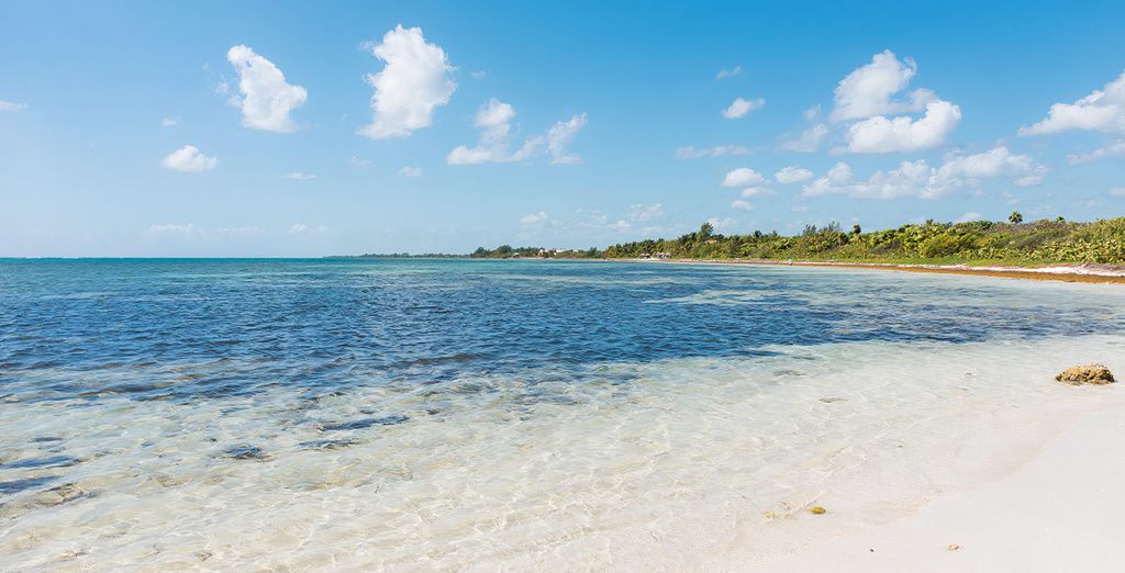 El Dorado Seaside Palms by Karisma 5* - Adults Only