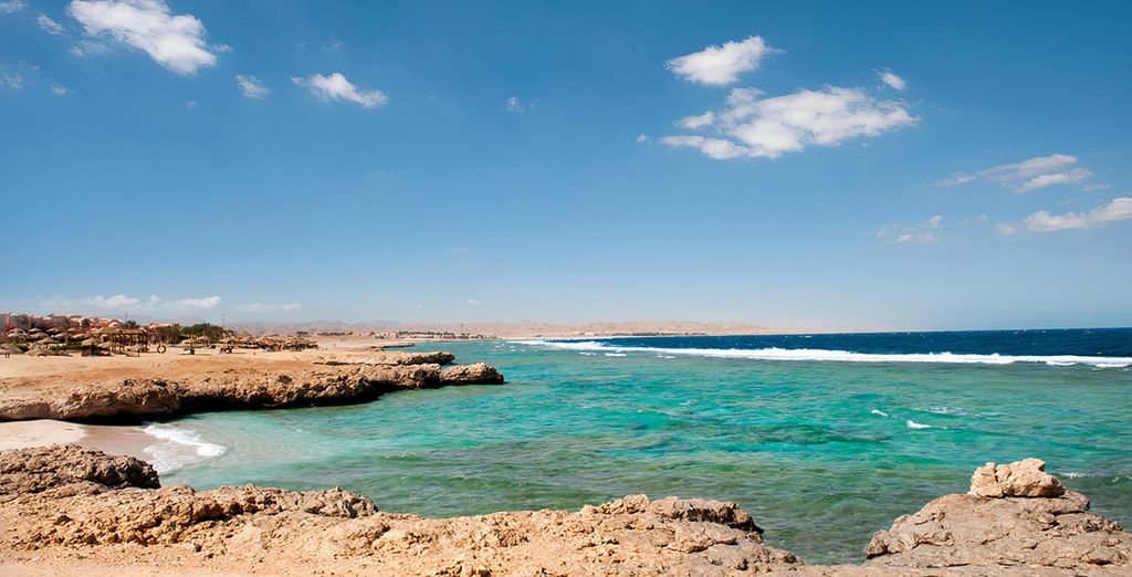 Albatros Sharm by Pickalbatros 4*