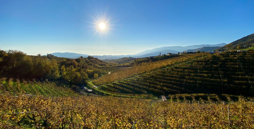 Hotel Villa Soligo 4*