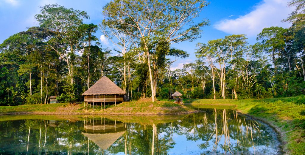 Tour privato di 9 o 13 notti con possibile estensione di 2 notti in Amazonia