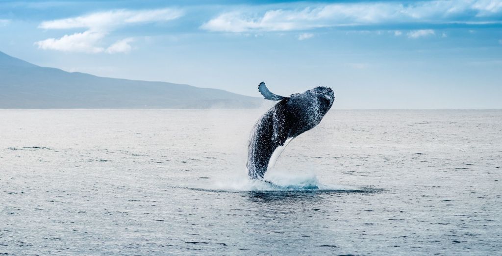 Sand Hotel Reykjavik by Keahotels 4*