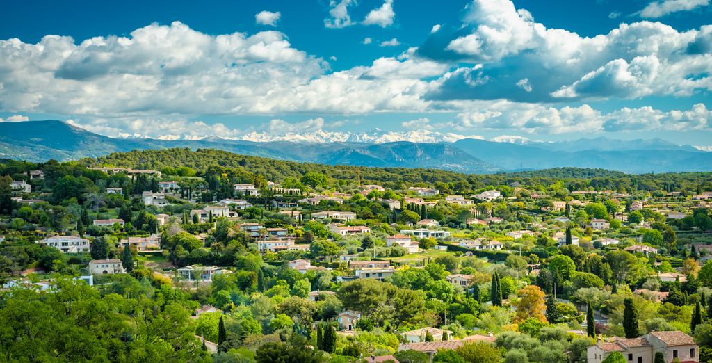 Hotel de Mougins 4*