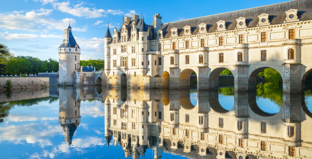 Tour di Parigi, i castelli della Loira e Normandia