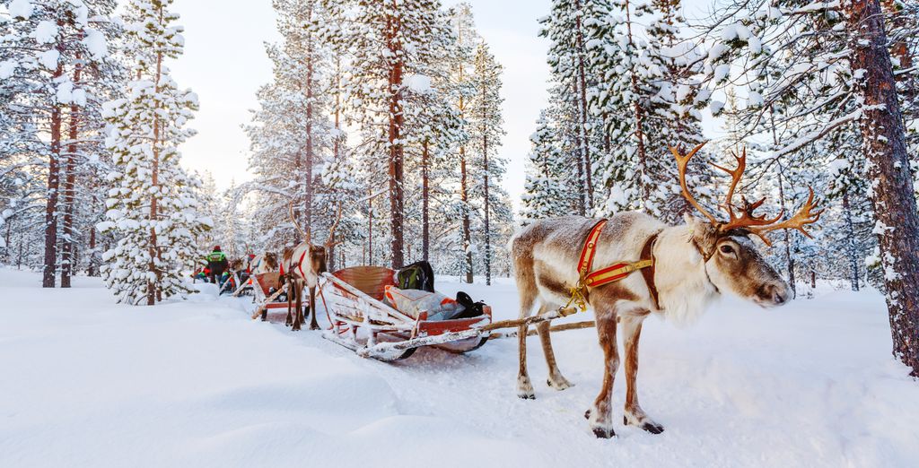 Lapland Hotel Riekonlinna 4* con attività invernali incluse