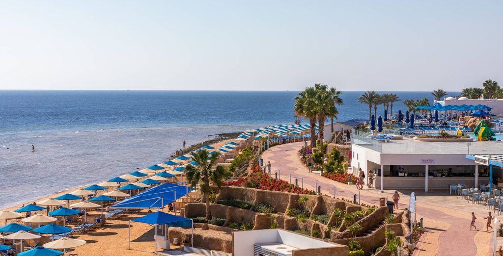 Albatros Palace Resort Sharm El Sheik 5*