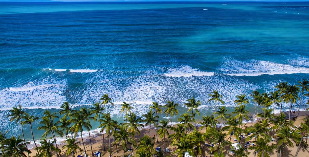 Viva Wyndham V Samana 5* - Adults Only