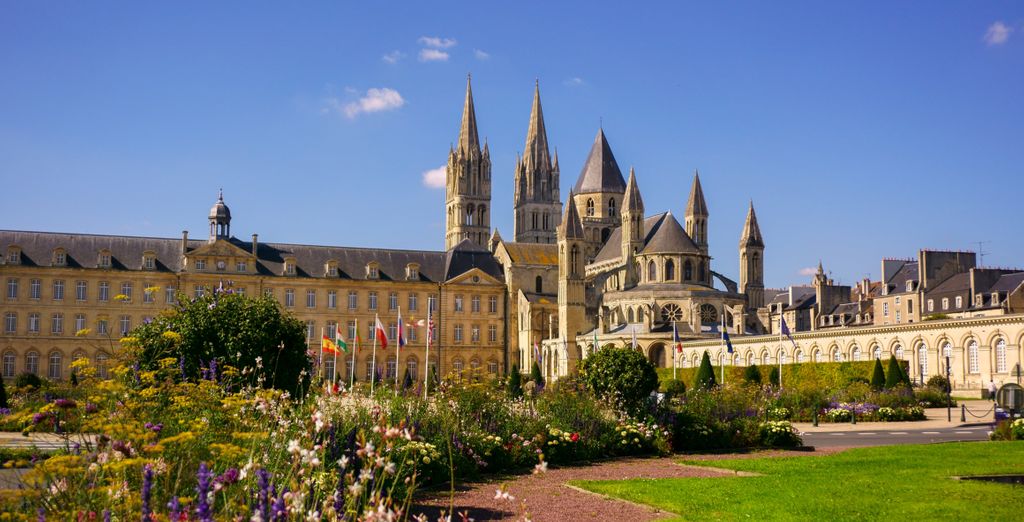 Tour di Parigi, i castelli della Loira e Normandia