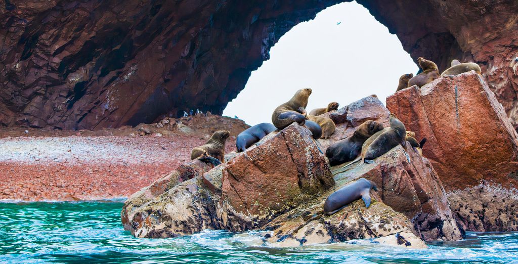 Circuito de lujo en Cuzco con posible extensión a Paracas