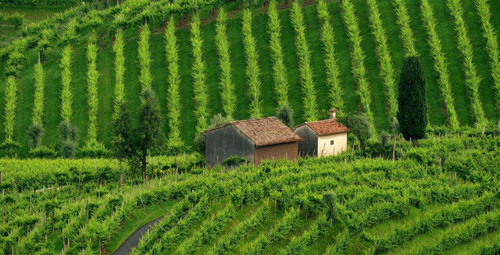 Hotel Villa Soligo 4*
