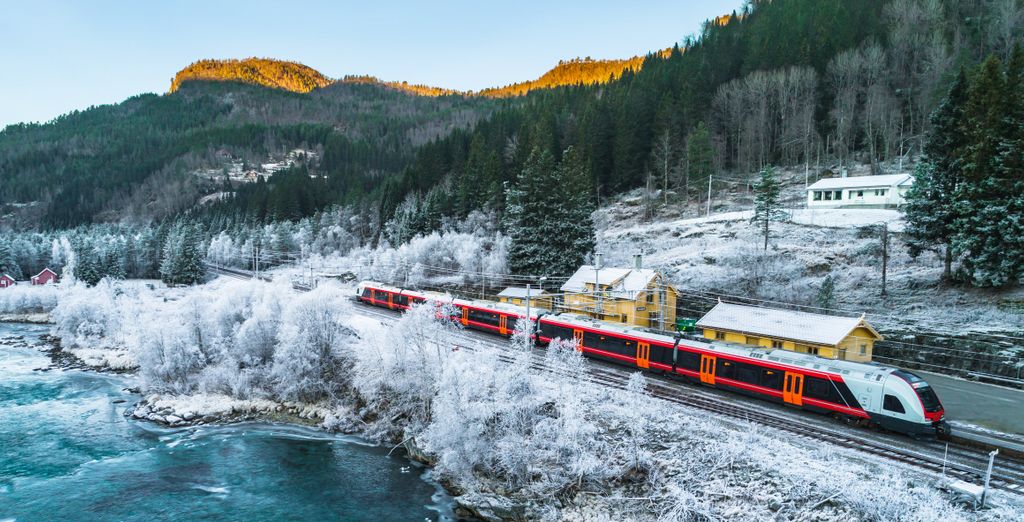 Tour di 7 notti da Oslo a Bergen con escursione sui fiordi a Flam