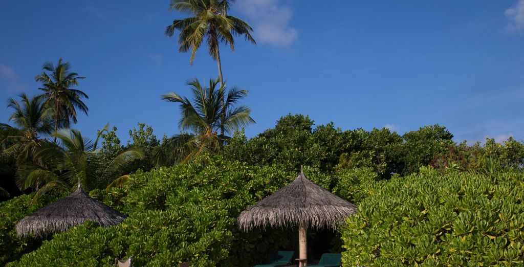Coco Palm Dhuni Kolhu 4*