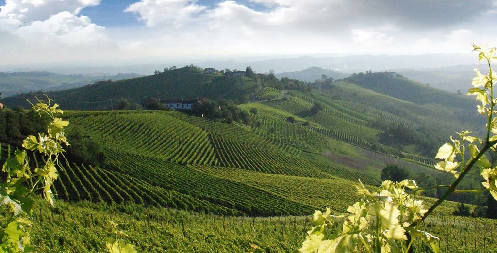 Tour Asti e Franciacorta