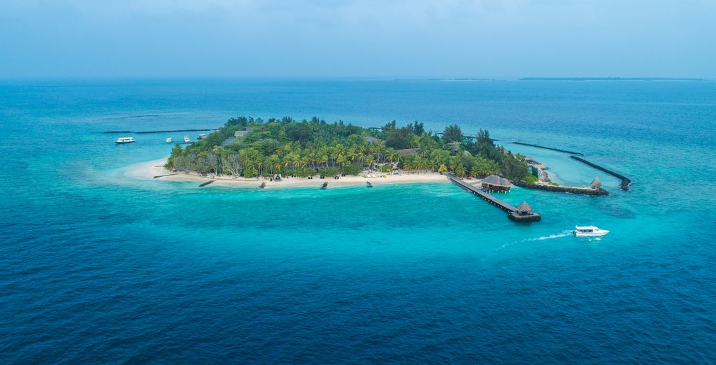 Taj Coral Reef Resort & Spa 5*