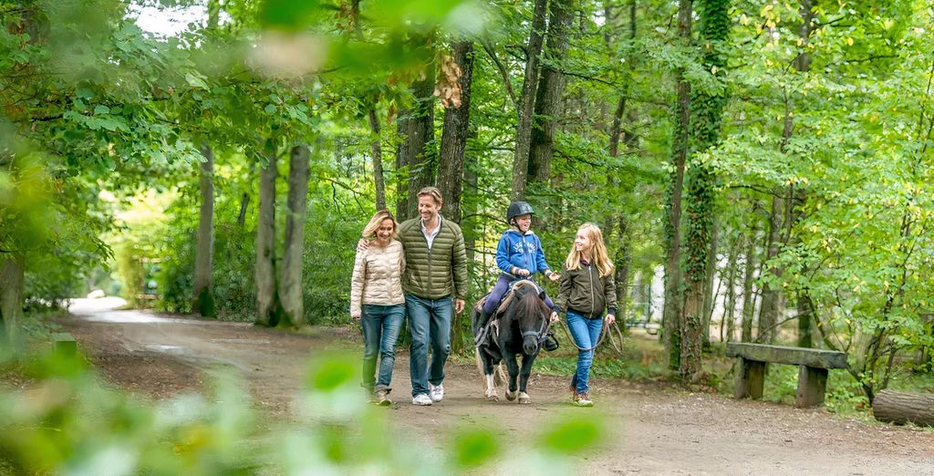 Top 5 things to see and do at Centre Parcs