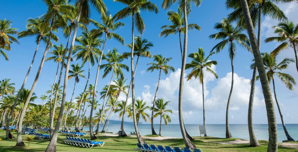 Grand Paradise Samana 4*