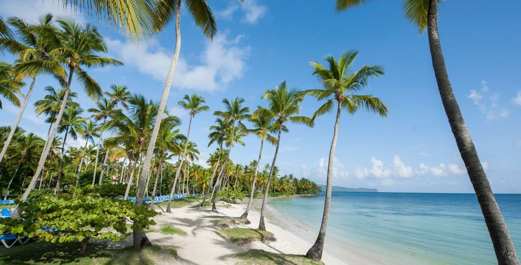 Grand Paradise Samana 4*
