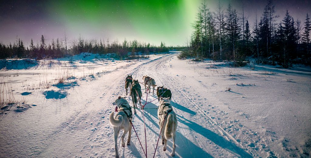 Arctic Circle Wilderness Resort con possibile estensione a Helsinki