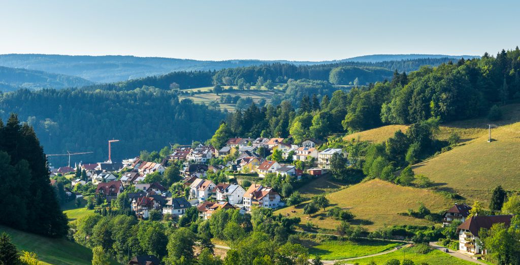 Elzland Hotel Pfauen Wellness Spa & Vitalis 4*