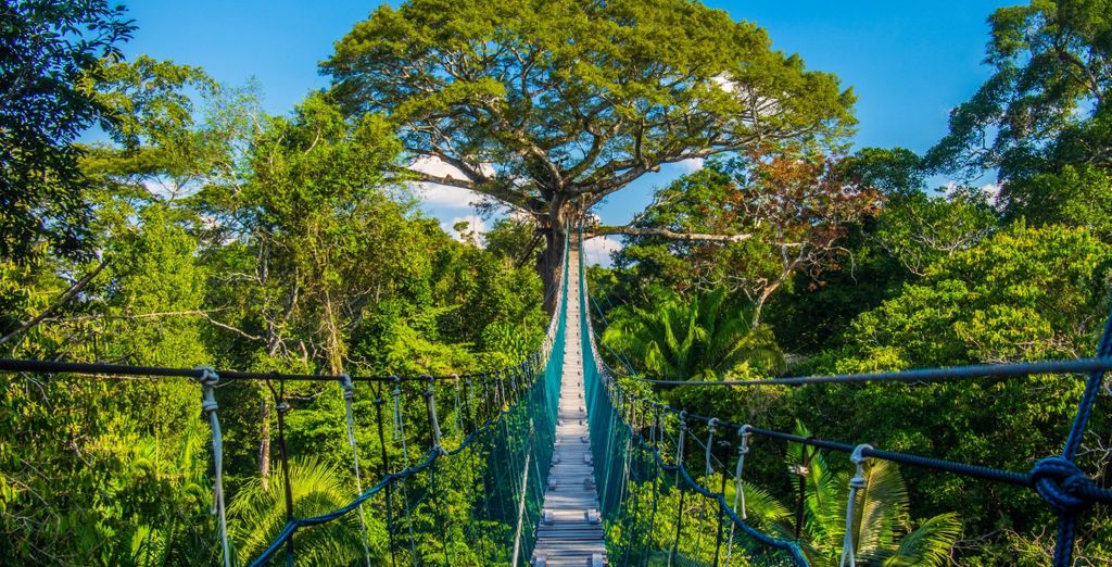 Tour privato: I tesori del Paese con possibile estensione in Amazzonia