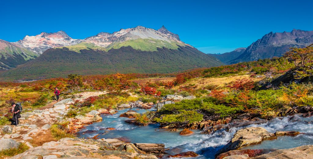 Tour privato "Scoperta della Patagonia e El Chalten" in 10 notti