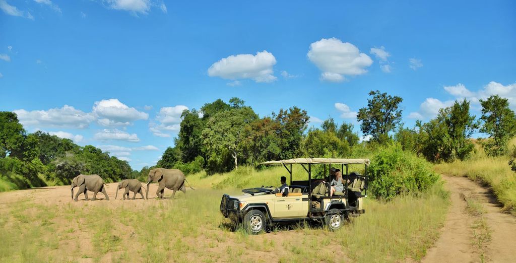 Combinato 4* Aha Harbour Bridge Hotel & Suites e Aquila Private Game Reserve & Spa