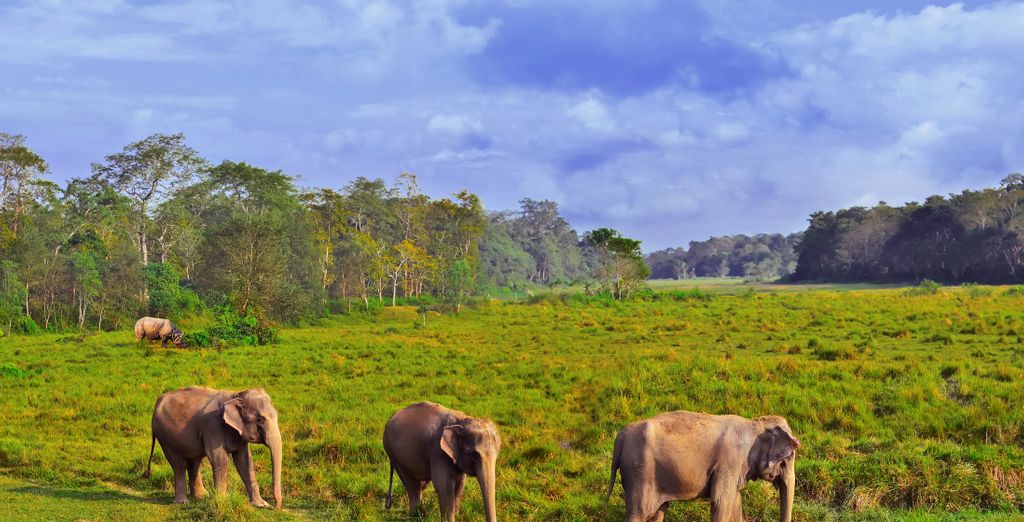 Tour privato: Il Nepal autentico