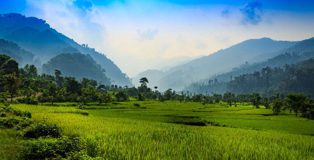 Tour privato "I punti salienti del Nepal"