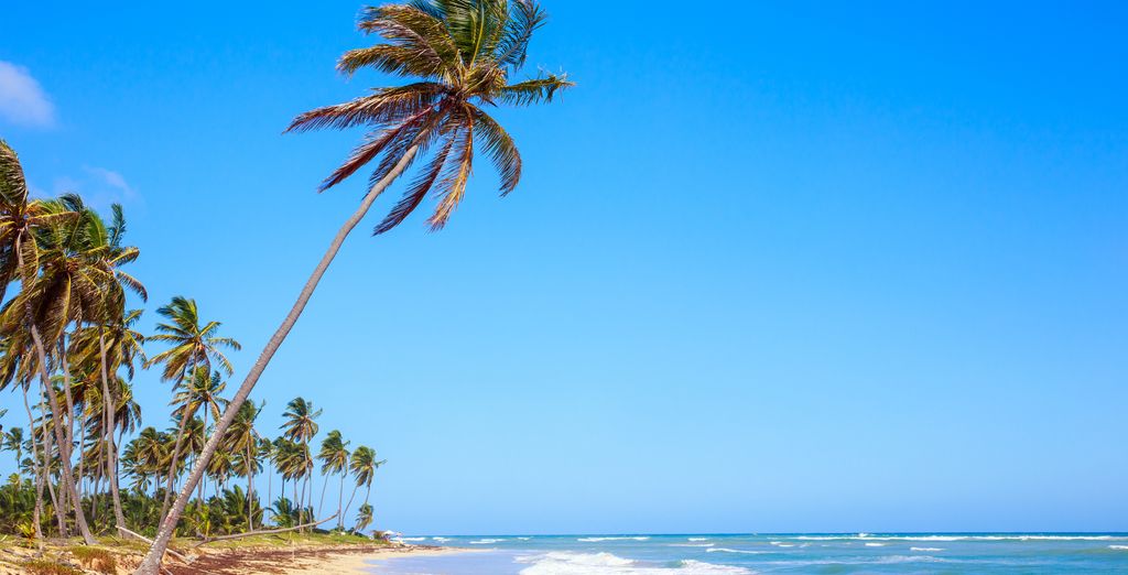 Ocean El Beso 5* -  Adults Only