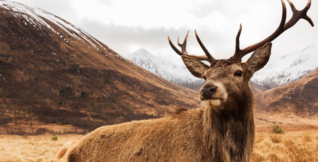 8-Day Outlander Road Trip of Scotland