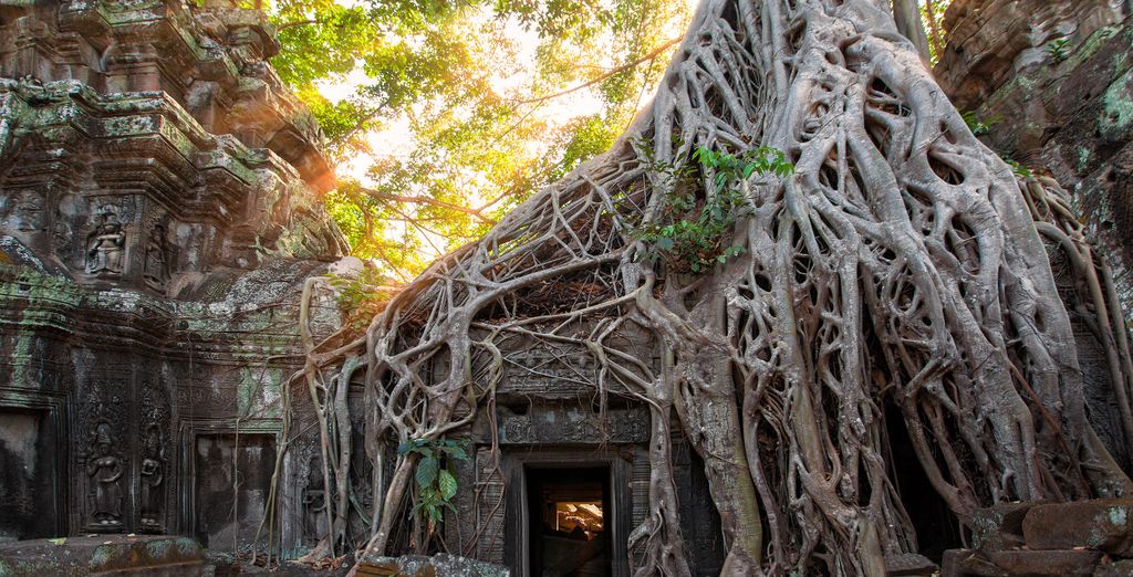 Tour privato "I segreti della Cambogia" con eventuale pre-estensione a Luang Prabang 