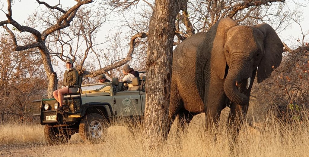 Mopaya Safari Lodge e Hotel Anew Parktonian 4*