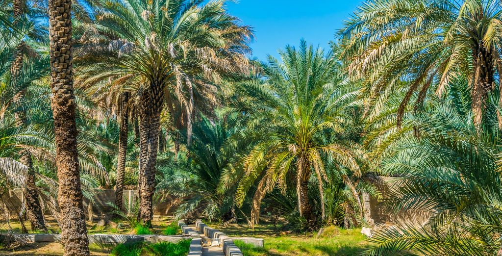 Radisson Blu Hotel & Resort Al Ain 4*