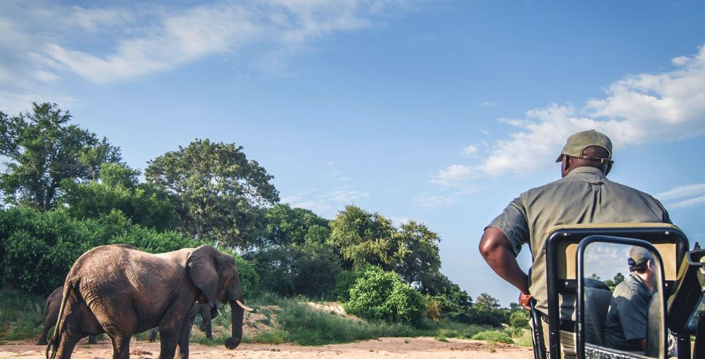 Safari al Nkambeni Safari Camp