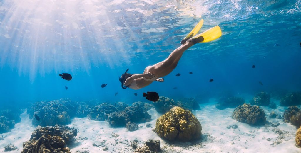 Autotour di 9 notti tra natura e fauna con possibile estensione in spiagge paradisiache