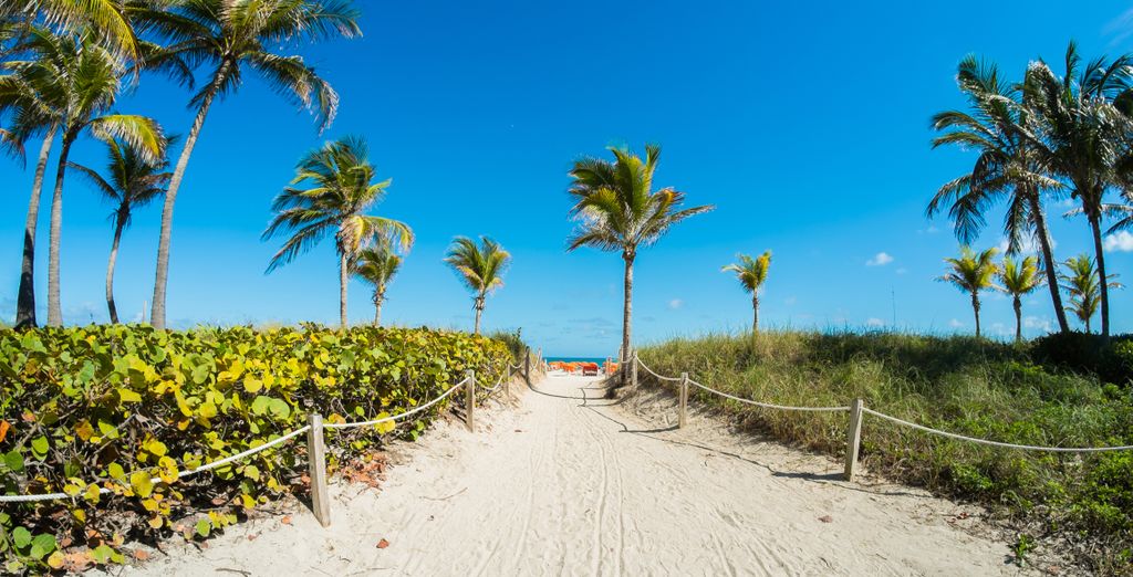 Autotour Sous le soleil de Floride