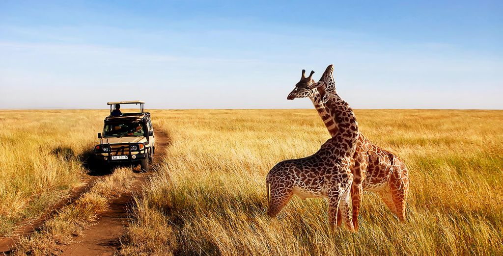 Combinato Safari e Sea Cliff Resort & Spa 5*