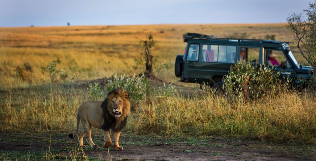 Mopaya Safari Lodge e Hotel Anew Parktonian 4*