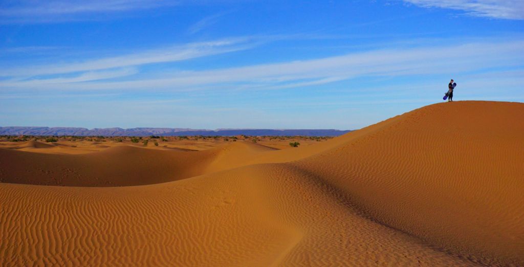 Tour nell'immensità del Gran Deserto 