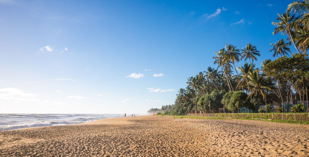 Circuito lo mejor de Sri Lanka con opción a Maldivas