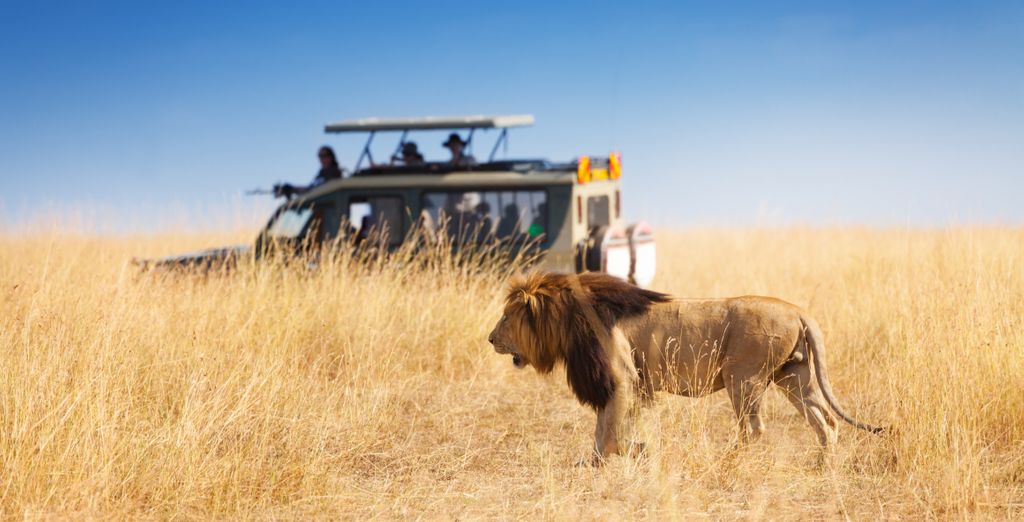 Safari di 6 notti fantastico in Kenya con estensione al Twiga Beach Resort 4*