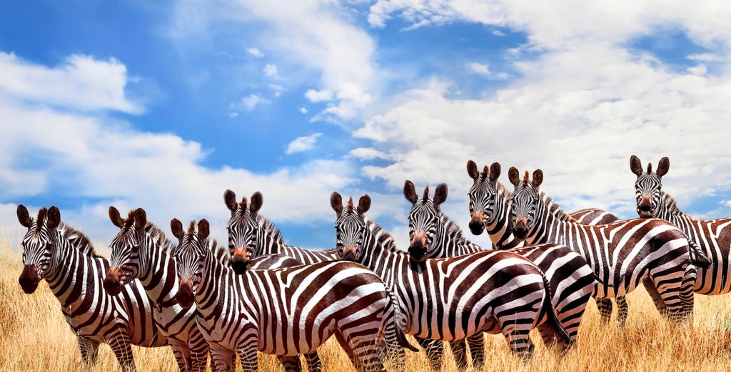 Safari tra i big five con estensione balneare all'Hemingways Watamu 5*