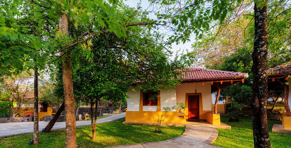 Circuito lo mejor de Sri Lanka con opción a Maldivas