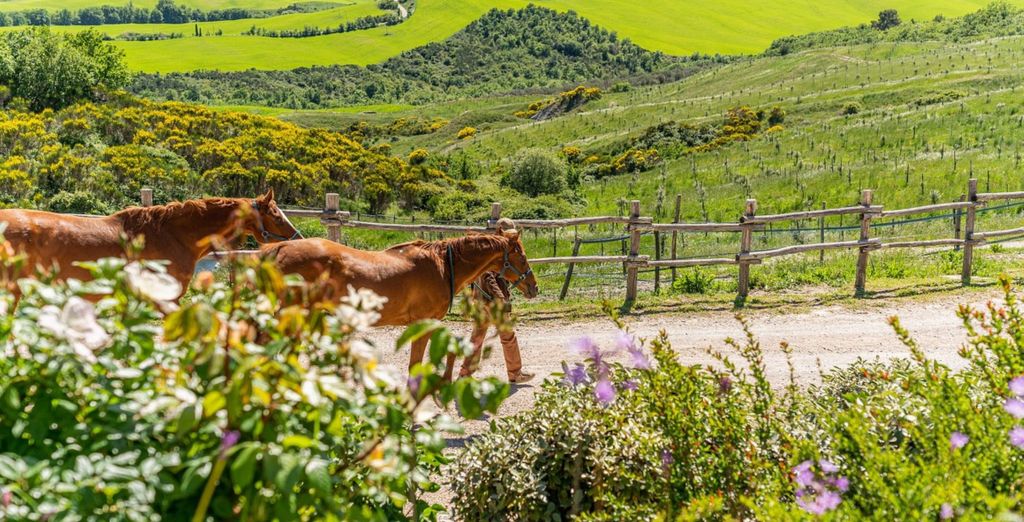 Podere Val D'Orcia 