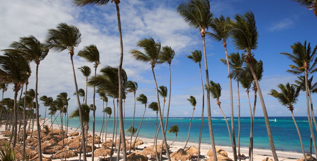 Paradisus Palma Real 5*