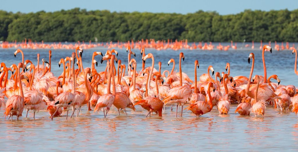 Autotour alla scoperta delle meraviglie dello Yucatan