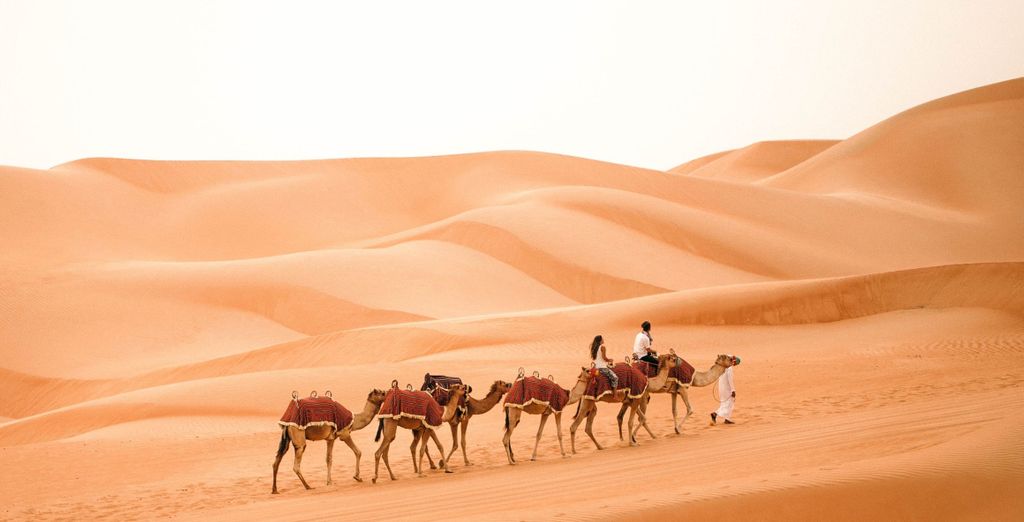 Soggiorno multiattività: Park Rotana Abu Dhabi 5*