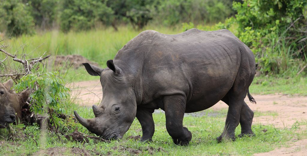 Tour Privato Uganda, Gorilla e Safari di 10 notti