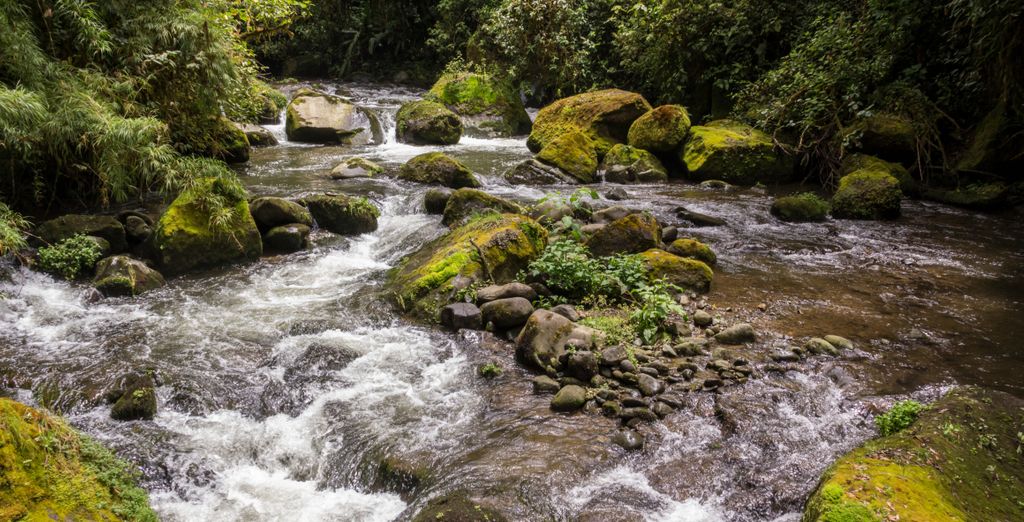 Autotour tra spiagge incantevoli e natura in Costa Rica di 8, 10 o 12 notti